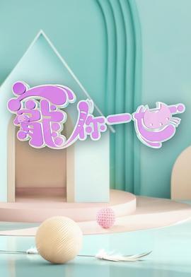 宠你一世