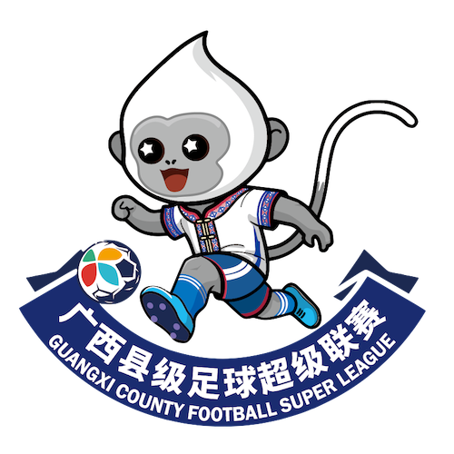 广西县级足球超级联赛钦州市钦北区队3-1防城港市港口区队20260201