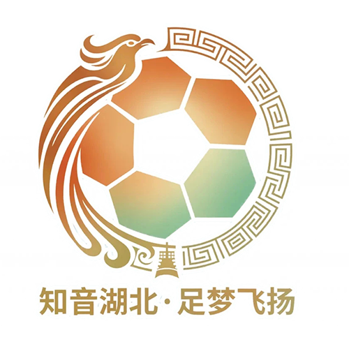 湖北省城市足球联赛咸宁外星人队VS宜昌东阳光队20260718