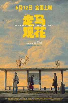 走马观花